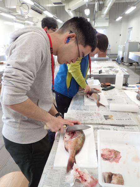 東シナ海、黄海のさかな 東シナ海・黄海の魚類誌 (水産総合研究センター叢書) | 山田 梅